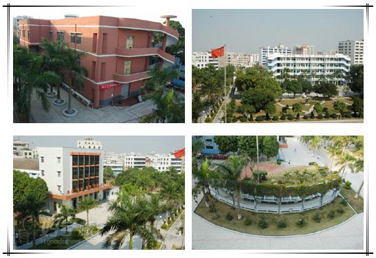 广东省湛江艺术学校的校园环境图片