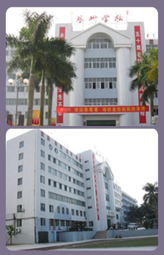 广东省湛江市艺术学校的校园风光图片
