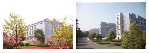 南京交通技师学院的校园环境图片展示