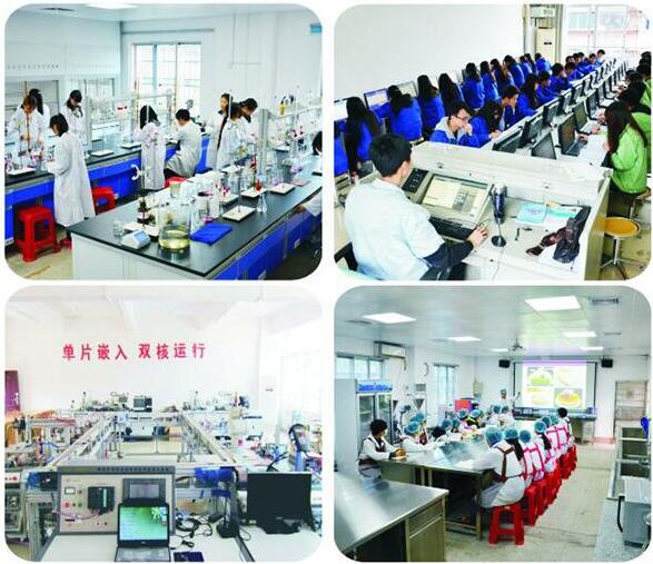 广东省南方技师学院化工分析与检验上课实景